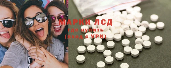 PSILOCYBIN Белокуриха