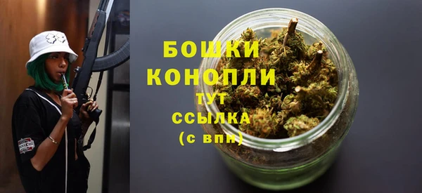 PSILOCYBIN Белокуриха