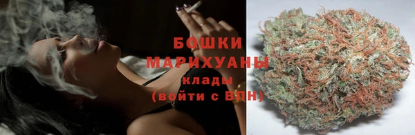 индика Богородск