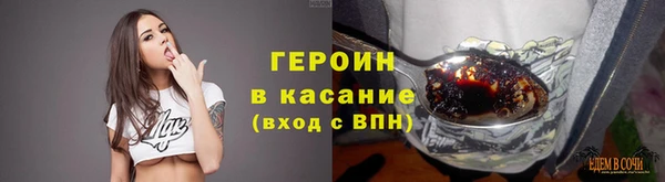 PSILOCYBIN Белокуриха
