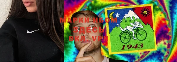PSILOCYBIN Белокуриха
