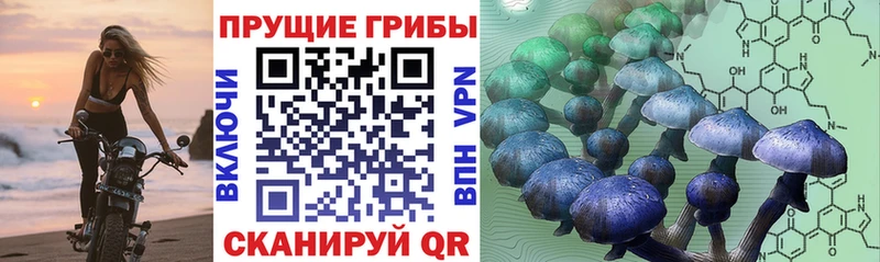 Галлюциногенные грибы ЛСД  Купить закладки  Кропоткин 